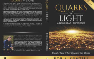 quarks of light book's cover
