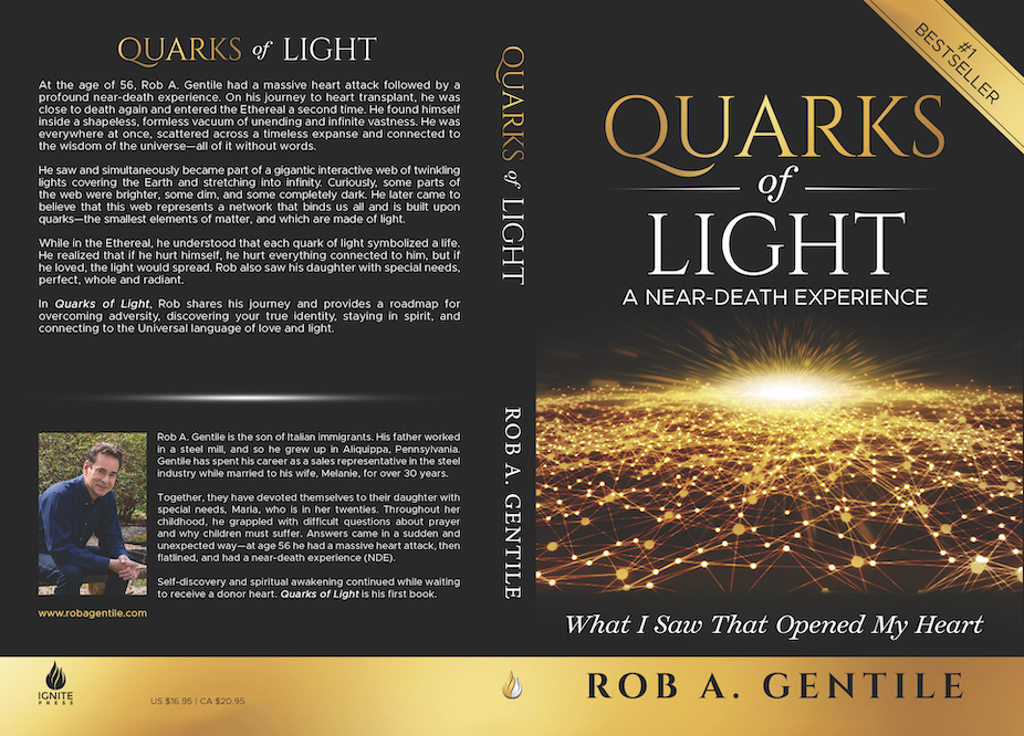 quarks of light book's cover